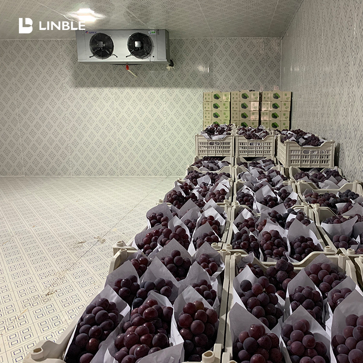Linble葡萄库.