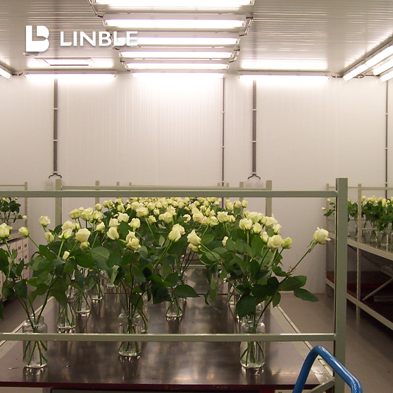 诚信图片_20191112150204.